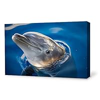 Canvas Wall Art Lovely Dolphin Canvas Prints Home Artwork Decoration for Living Room,Bedroom - 12x18 inches