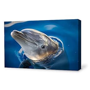 Canvas Wall Art Lovely Dolphin Canvas Prints Home Artwork Decoration for Living Room,Bedroom - 12x18 inches