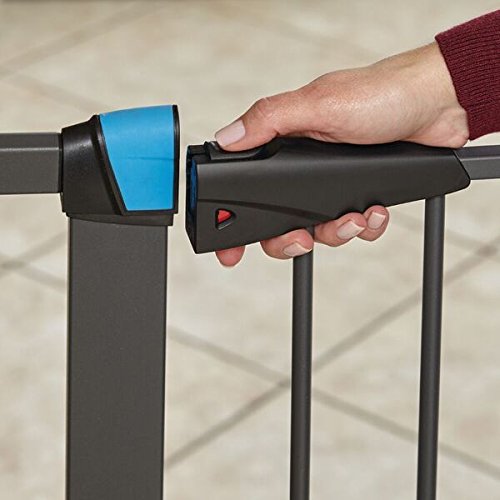 https://images-na.ssl-images-amazon.com/images/I/41aNUs5WgUL.jpg