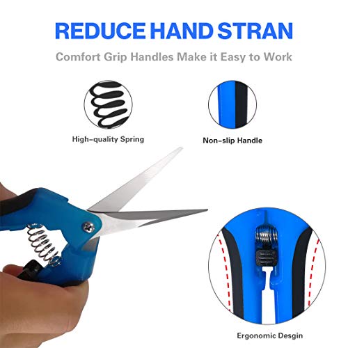 Terme Two Packs of Gardening Hand Pruner Pruning Shear with Straight Stainless Steel Blades