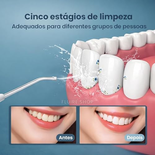 Irrigador Oral & Bucal Portátil Recarregável -Tanque 300ml - Limpeza Profunda com 4 Níveis de Pressão, 4 Ponteiras, À Prova d’Água - Jato Dental Ideal para Aparelhos Ortodônticos, Implantes e Gengivas (Preto)