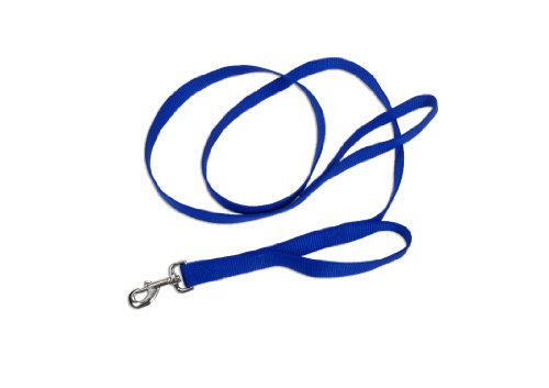 Loops 2 Double Handle Nylon Leash, 1" x 6'