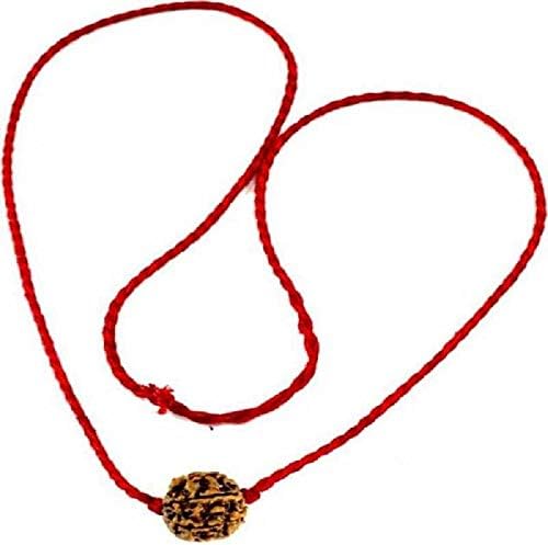 Shivoham 3 Mukhi Rudraksha with Cotton Dori (Brown)