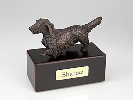 Amazon Com Ever My Pet Dachshund Long Hair Economy Bronze Series