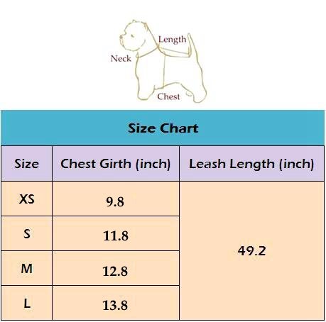 M2cbridge White Dog Puppy Harness Leash Collar Cat Vest Strap With Angel Wings (M)