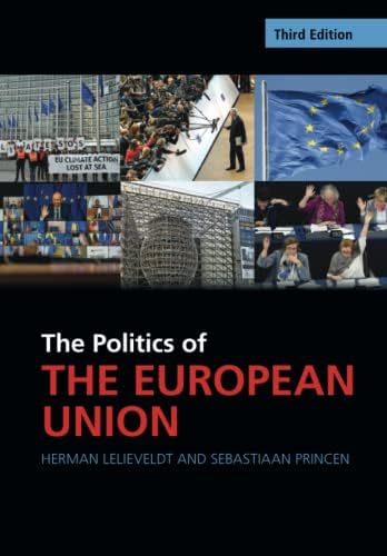 European Union Politics: Cini, Michelle, Perez-Solorzano Borragan