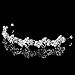 Topwedding Rhinestone Wedding Tiara Headband Bridal Floral Headpiece Hair Jewelry Women Girls