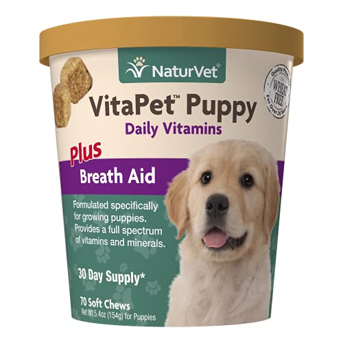 The Best Vitamins For Puppies Dogtime