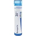 Boiron Sarsaparilla 30C for Cracked Skin or Bladder Incontinence - 80 Pellets (Pack of 1)