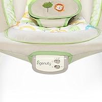 ingenuity sunny snuggles