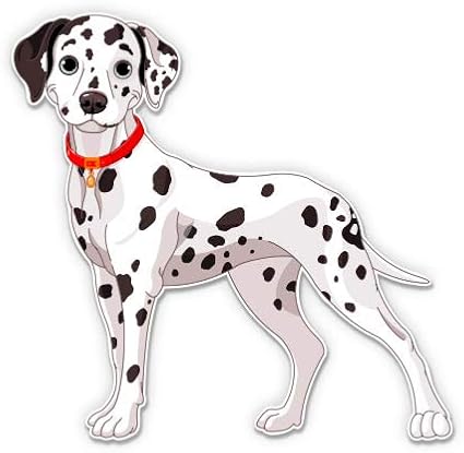 dalmatian cute