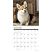 Just Pembroke Corgis 2019 Wall Calendar (Dog Breed Calendar)