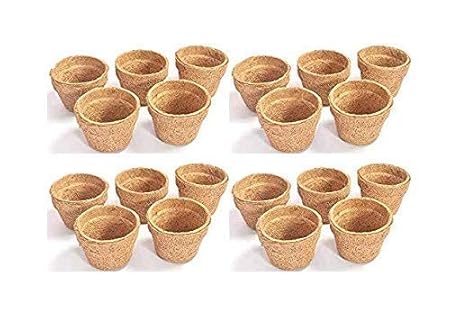 COIR GARDEN Coir Pot, Coco Basket 4 INCH(10 cm) - 20 Pieces - Large Size Seedling Cups for Plants - Eco Friendly Coco Pots
