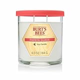 Blyth Home Scents International 111221 Burt'S Bees® Papaya Guava Small Jar Candle