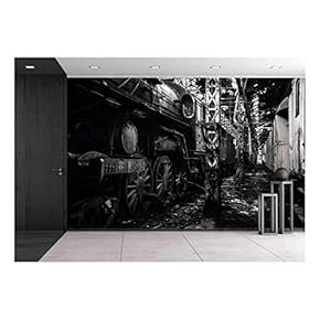 Old Trains at Abandoned Train Depot - Removable Wall Mural | Self-Adhesive Large Wallpaper - 66x96 inches