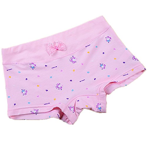 Little Girls Boyshort Underwear Cotton Briefs Panties Set 5 6 Pack