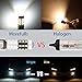 morefulls H1 LED Fog Lights Bulbs - 1600 Lumens 360° Beam Angle 6000k White With Projector (Set of 2)