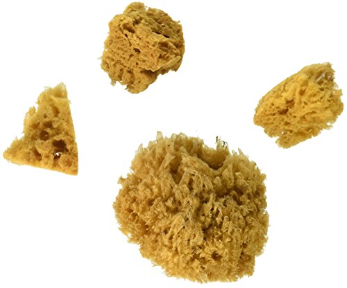 Royal ROYR2092 Yellow Sponge Set 3pc