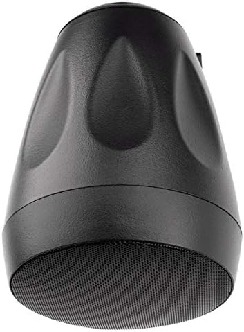 pendant mount speakers