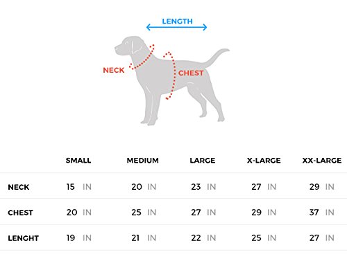 blue nehru jacket wth golden kurta (extra large)