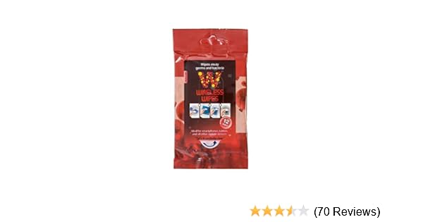 atec portable l screen