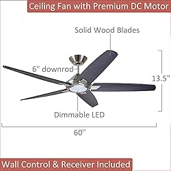 Dorian Eco 60 Inch Ceiling Fan with Light