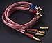 KK R1-B2-D0.5 4N OFC Speaker Wire Pair with RCA Male (Blue & Red) to 2 Pair Banana（4banana） Plugs 1.64Foot-Pair KK R1-B2-D0.5 (0.5M/1.64Foot)