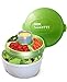 Stay Fit Deluxe Salad Kit, EZ Freeze - Pack of 2 (each has 3- Compartment Freezer Tray)