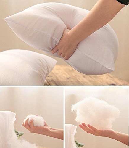 IZO Home Goods Lumbar Sham Stuffer Hypo-allergenic Poly Pillow Form Insert, 12" W x 20" L