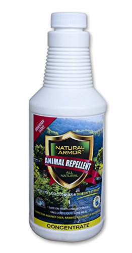 Repellent Spray for Rodents &amp; Animals. Cats, Rats, Squirrels, Mouse &amp; Deer. Repeller &amp; Deterrent for Dogs, Critters, Mice, Raccoon &amp; Skunk. Natural Armor Rosemaryt Pint Concentrate