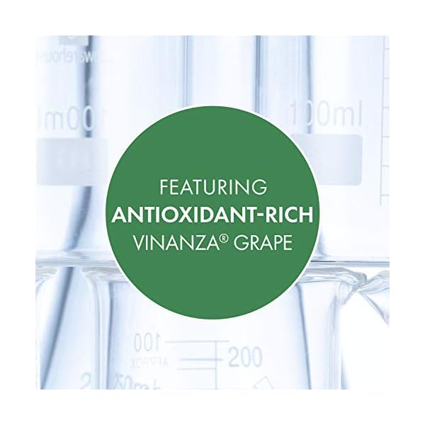 Vanilla-Pod-Hydrating-Day-Cream--Anti-Aging-Face-Moisturiser-For-Dry-Skin--with-Rosehip-Oil-Avocado-Oil-Antioxidant-Skincare-Ingredients--Dry-Skin-Normal-Skin--60ml Antipodes Vanilla Pod Hydrating Day Cream 60ml