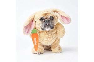 Pandaloon Dog and Pet Costume Set - AS SEEN ON Shark Tank - Walking Teddy Bear with Arms (Bunny, Size 3(17-19 in Height at TOP of Head,Girth<22 in))