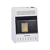 Procom Heating TV209320 6K BTU NAT Wall Heater
