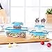 Amazon Basics 24 Piece Plastic Locking Food Storage Container - Blue
