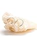 Hoop Earrings, Medium, 24K Gold Over Bronze, Premium Fashion Jewelry, Hypoallergenic, Safe for Most Ears, 1.25 Inches