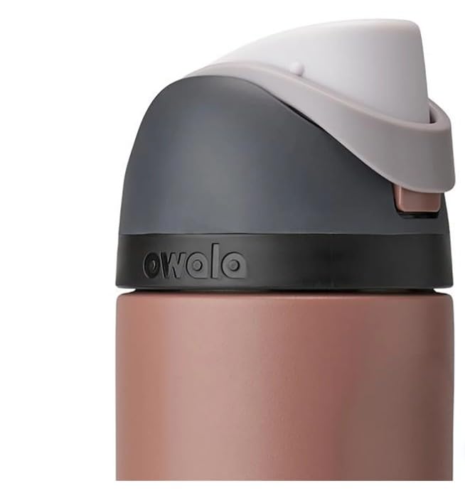 Owala Freesip 24oz Stainless Steel Water Bottle, Bedrock - Insulated with Dual-Sip Spout