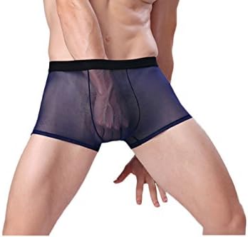 Men's Underpants Transparent Underwear See Through Boxer Briefs Short Leg
