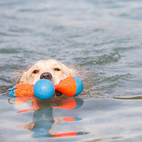 Chuckit! 52062 Tri-Bumper Floating and Bouncing Dog Toy, M