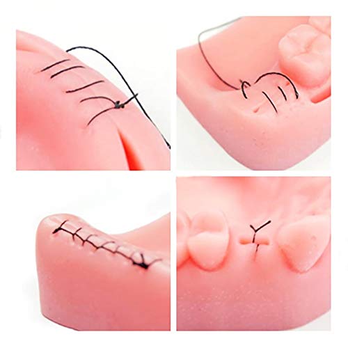 Suture Practice Kit, YOUYA DENTAL Oral Suture Kit for Suture Training