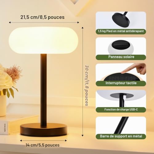Rosnek Wireless LED Solar Table Lamp, 4000mAh Battery, 3 Color Modes & Continuous Dimming, IP65 Waterproof with Remote Control, USB-C Charging & Solar Power (Pack of 2)