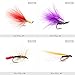 Croch 60pcs Fly Fishing Dry Flies Wet Flies Assortment Kit with Waterproof Fly Box for Trout Fishing