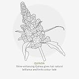 Green People Protein-Boost Hair Serum Volume Light Hold Natural Organic Vegan view 5