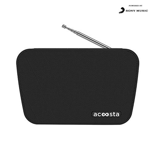 sony bluetooth speaker fm radio