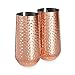 VonShef Copper Highball Cocktail Glasses Stainless Steel Hammered Style Set of 2 16oz Copper Tumblers with Gift Box