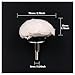 Swpeet 4 Pcs White Cotton Polishing Buff Wheel Set for Polishing Tools, Polishing Pad Wheel Set Perfect for Manifold, Aluminum, Stainless Steel and Chrome (Cone/Column/Mushroom/T-Shaped)