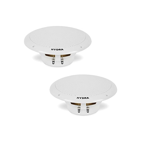 Pyle-6-12-Inch-Dual-Cone-Marine-Speakers