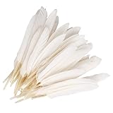 CrazyDeal white 100 beautiful goose feather 4-6 inches 10-15 cm, choose color Useful charming,White