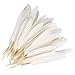 CrazyDeal white 100 beautiful goose feather 4-6 inches 10-15 cm, choose color Useful charming,White