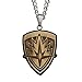 Marvel Comics Unisex Adult Guardians of the Galaxy Logo Stainless Steel Pendant Necklace with 24 inch Chain, Brown/Silver, One Size
