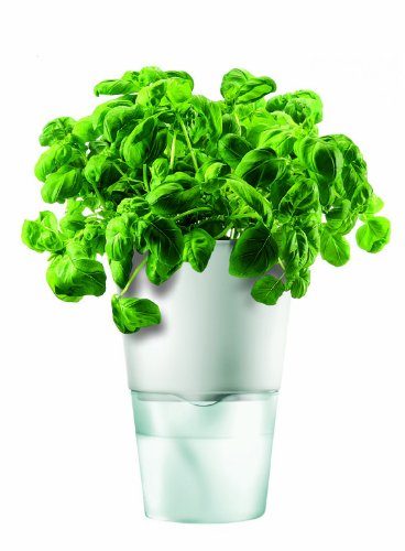 Eva Solo Self-Watering Herb Pot, 11 cm Diameter, Chalk White